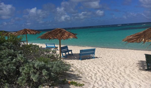 Dzień 3: Wyspa Virgin Gorda &rarr; Anegada